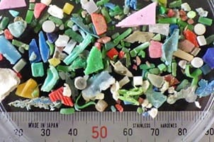 相模湾沿岸域におけるマイクロプラスチック汚染の実態解明