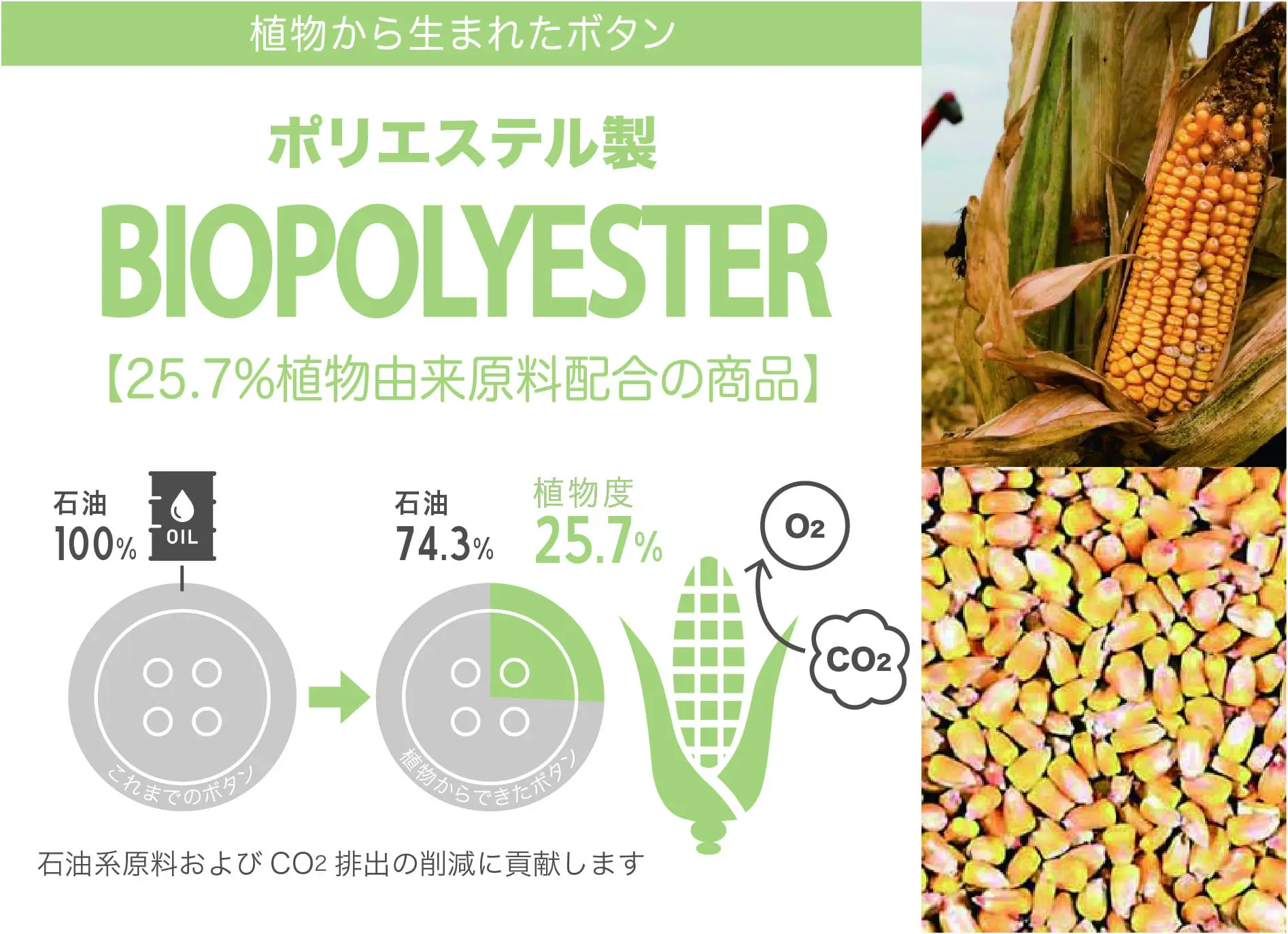 植物からできたボタン「バイオポリエステル」｜プラスチック・スマート