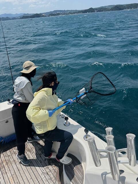 海周辺でのごみ拾い