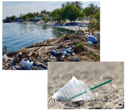 漂着ゴミの国際的なクリーン化