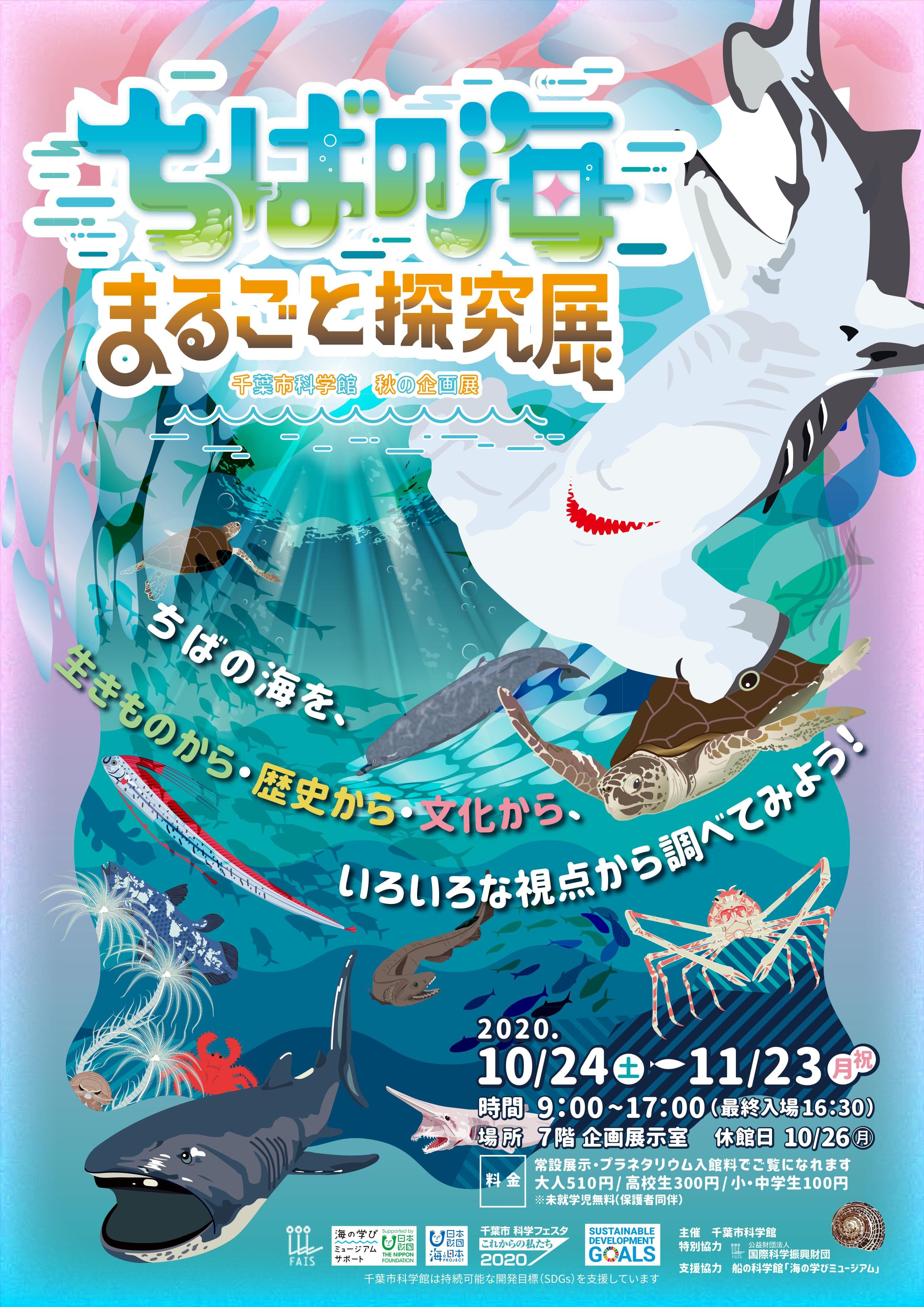 企画展「ちばの海まるごと探究展」において「千葉県内の海洋ゴミ」についての展示とプラスチックをテーマにした講演会の実施