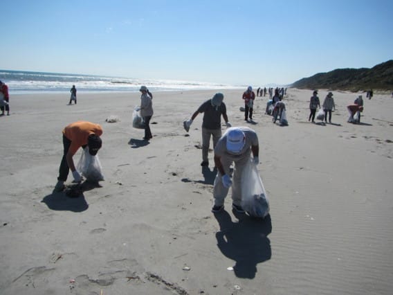 「海に感謝、人に感謝」 表浜海岸の海岸清掃