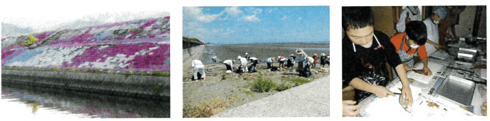 地域の里海自然環境改善活動