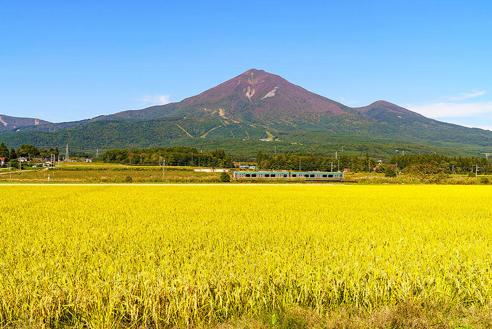 黄金色に実った稲穂が一面に広がる水田風景。奥に磐梯山がそびえ、田んぼの脇をローカル線の列車が走っている。