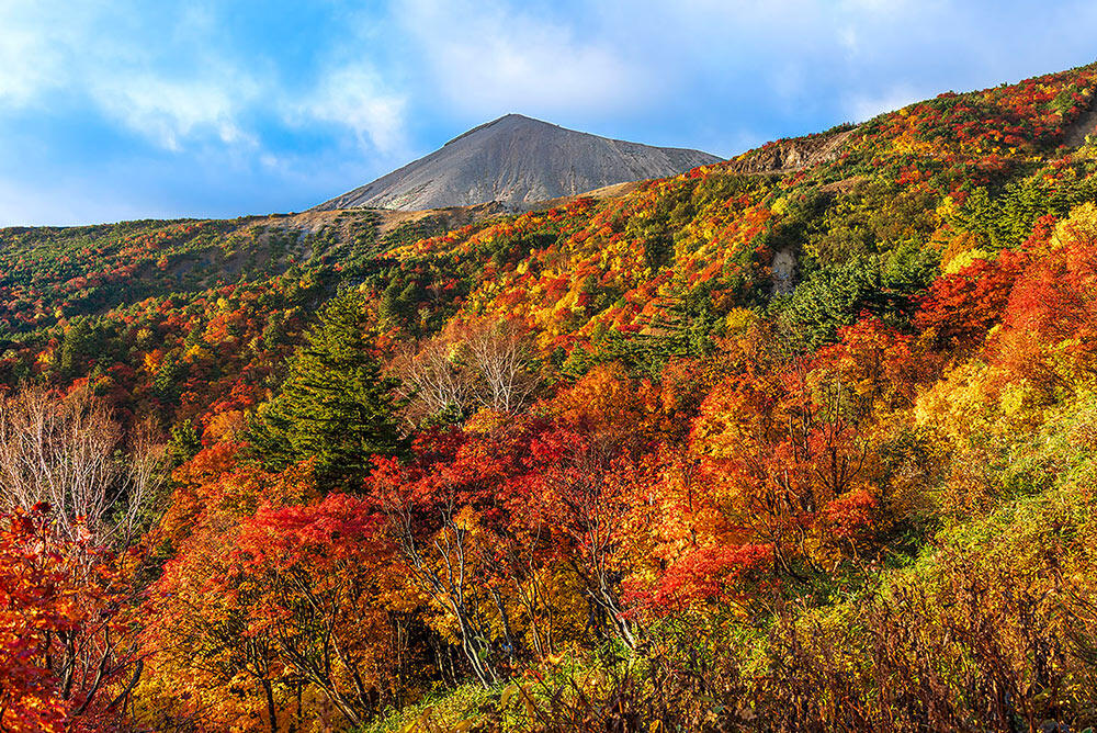 赤や黄色に色づいた木々が斜面を覆う紅葉風景。奥には木々のない岩肌がむき出しの山頂がそびえている。