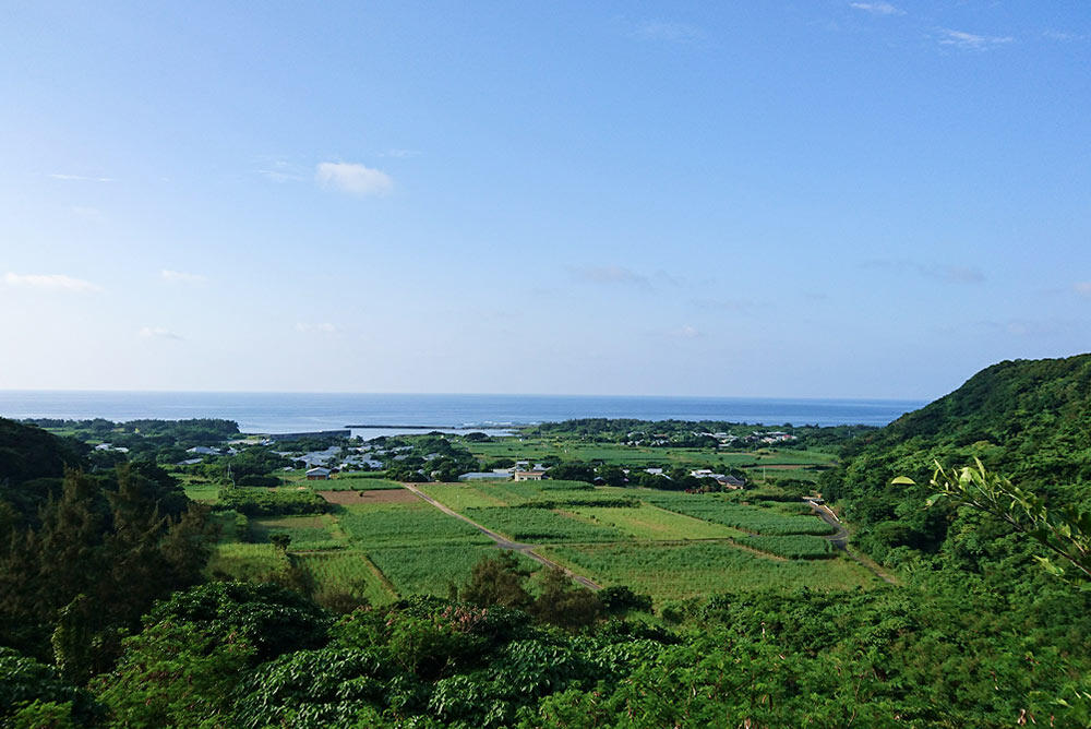緑豊かなサトウキビ畑が広がる高台からの眺め。畑の先には集落と青い海が広がっている。