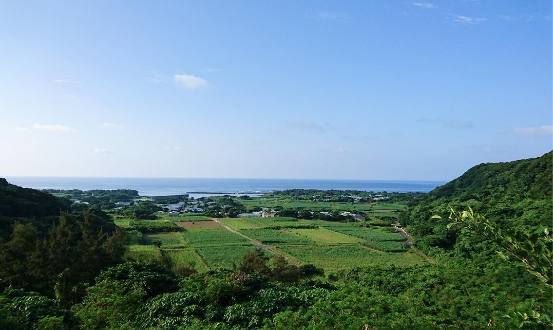 緑豊かなサトウキビ畑が広がる高台からの眺め。畑の先には集落と青い海が広がっている。
